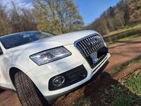Gebraucht Audi Q5 150 PS (110 kW) 2013 Weiß SUV