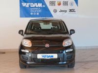 Gebraucht Fiat Panda Easy 69 PS (50 kW) 2020 Cinema schwarz Limousine