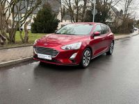 Usata Ford Focus 125 CV (91 kW) 2019 Rosso Utilitaria