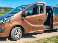 Gebraucht Opel Vivaro 145 PS (106 kW) 2017 Braun Van / Kleinbus