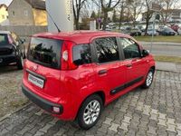 gebraucht Fiat Panda Easy