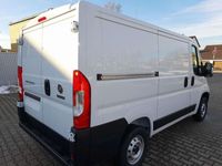 gebraucht Fiat Ducato L1H1 Kastenwagen verblecht 260° Hecktüren