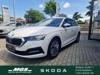 Gebraucht Skoda Octavia 116 PS (85 kW) 2023 Candyweiss Kombi