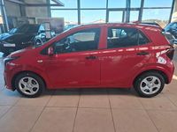 Neu Kia Picanto 68 PS (50 kW) 2025 Rot Kleinwagen