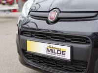 Neu Fiat Panda 69 PS (50 kW) 2025 Schwarz Kleinwagen