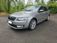 Gebraucht Skoda Octavia Joy 110 PS (80 kW) 2016 Grau Kombi