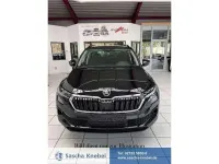 Neu Skoda Karoq Dynamic 150 PS (110 kW) 2026 Wählbar SUV