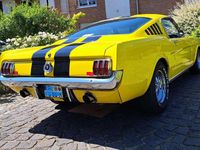 Gebraucht Ford Mustang Fastback 271 PS (199 kW) 1965 Gelb