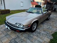 Gebraucht Jaguar XJS Classic 275 PS (202 kW) 1990 Braun Cabrio