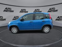 Gebraucht Fiat Panda 51 PS (37 kW) 2024 Blau Kleinwagen