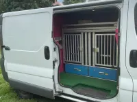 Gebraucht Opel Vivaro 114 PS (83 kW) 2012 Weiß Van / Kleinbus