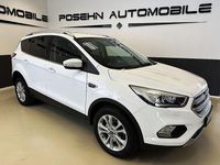 Gebraucht Ford Kuga Titanium 120 PS (88 kW) 2019 Frostweiß SUV