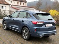 Gebraucht Ford Kuga ST-Line 120 PS (88 kW) 2024 Blau SUV