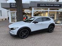 Neu Mazda CX-30 Nagisa 140 PS (102 kW) 2026 Weiß SUV