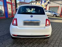 gebraucht Fiat 500 1.0 GSE N3 Hybrid CULT CULT