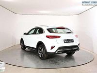 Neu Kia XCeed Silver 150 PS (110 kW) 2025 Carraraweiß SUV