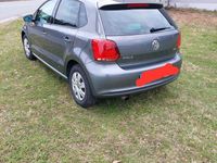 gebraucht VW Polo LIVE