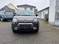 Gebraucht Fiat Panda Cross 69 PS (50 kW) 2020 Colore esterno (colosseo grau) Kleinwagen