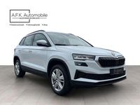 Gebraucht Skoda Karoq Selection 150 PS (110 kW) 2024 Moonweiss metallic SUV