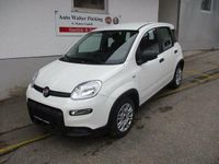 Gebraucht Fiat Panda 69 PS (50 kW) 2024 Colore esterno (weiss) Kleinwagen
