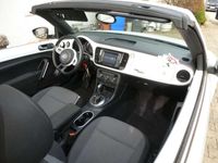 gebraucht VW Beetle Cup BMT Cabriolet (5C7)