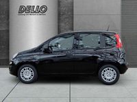 Neu Fiat Panda Icon 69 PS (50 kW) 2026 Cinema schwarz Kleinwagen