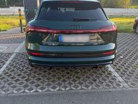 Brugt Audi e-tron Ambiente 230 kW (313 HK) 2021 Grøn SUV