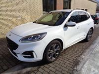Gebraucht Ford Kuga ST-Line X 150 PS (110 kW) 2020 Weiß SUV