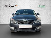 gebraucht Skoda Fabia Style Edition