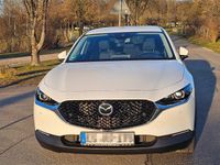 Gebraucht Mazda CX-30 Selection 179 PS (131 kW) 2020 Weiß SUV