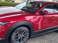 Gebraucht Mazda CX-30 150 PS (110 kW) 2020 Rot SUV