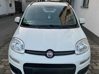 Gebraucht Fiat Panda 69 PS (50 kW) 2012 Weiß Kleinwagen