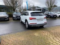 Gebraucht Audi Q5 Advanced 204 PS (150 kW) 2023 Weiß SUV