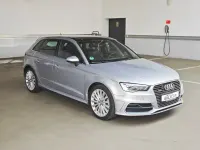 Gebraucht Audi e-tron S-Line 150 PS (110 kW) 2015 Grau (florettsilber metallic) SUV
