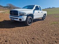 Gebraucht Dodge Ram 349 PS (256 kW) 2004 Weiß Pickup