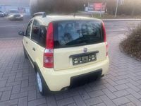 Gebraucht Fiat Panda Active 54 PS (39 kW) 2009 Mambo gelb Kleinwagen