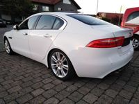 gebraucht Jaguar XE Pure