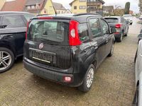 Gebraucht Fiat Panda Easy 69 PS (50 kW) 2016 Schwarz Kleinwagen