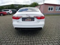 Gebraucht Jaguar XF Pure 180 PS (132 kW) 2019 Weiß Limousine