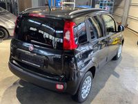 Gebraucht Fiat Panda Easy 69 PS (50 kW) 2020 Schwarz Kleinwagen