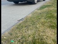 Gebraucht Mercedes E220 150 PS (110 kW) 2002 Schwarz Limousine