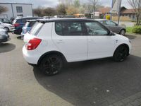 gebraucht Skoda Fabia 1.6 TDI DPF MONTE CARLO Klima 17 Zoll Tempomat