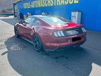 gebraucht Ford Mustang MustangGTCoupé V8 450PS Aut/Shelby-Felgen