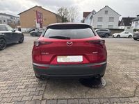 Gebraucht Mazda CX-30 2020 Rot SUV