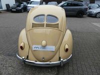 gebraucht VW Käfer aus Brasilien mit Brezelfenster