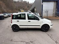 Gebraucht Fiat Panda Active 54 PS (39 kW) 2007 Weiß Kleinwagen