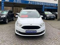 Gebraucht Ford Grand C-Max 125 PS (91 kW) 2019 Frostweiß Van / Kleinbus