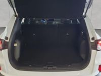 Gebraucht Ford Kuga Titanium 152 PS (111 kW) 2022 Weiß SUV