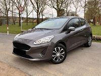 Gebraucht Ford Fiesta 72 PS (52 kW) 2019 Grau Kleinwagen