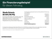 Gebraucht Skoda Octavia Ambition 116 PS (85 kW) 2023 Weiss Kombi